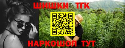 индика Аргун