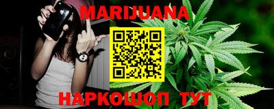 индика Аргун