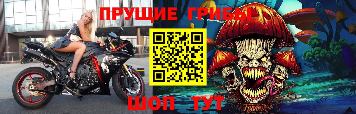 Псилоцибиновые грибы Psilocybine cubensis  наркота  Будённовск  Псилоцибиновые грибы Magic Shrooms  Вход с VPN 