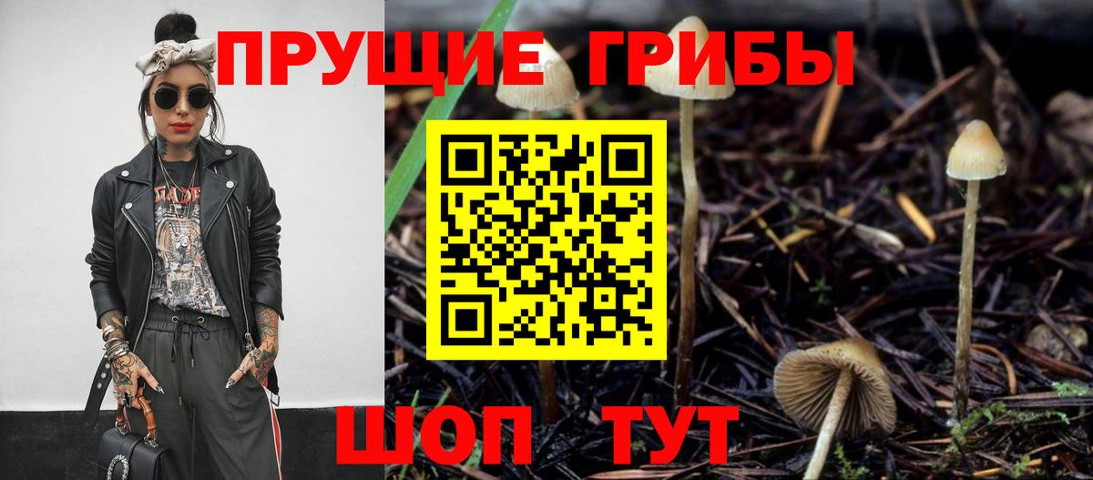 Галлюциногенные грибы ЛСД Будённовск